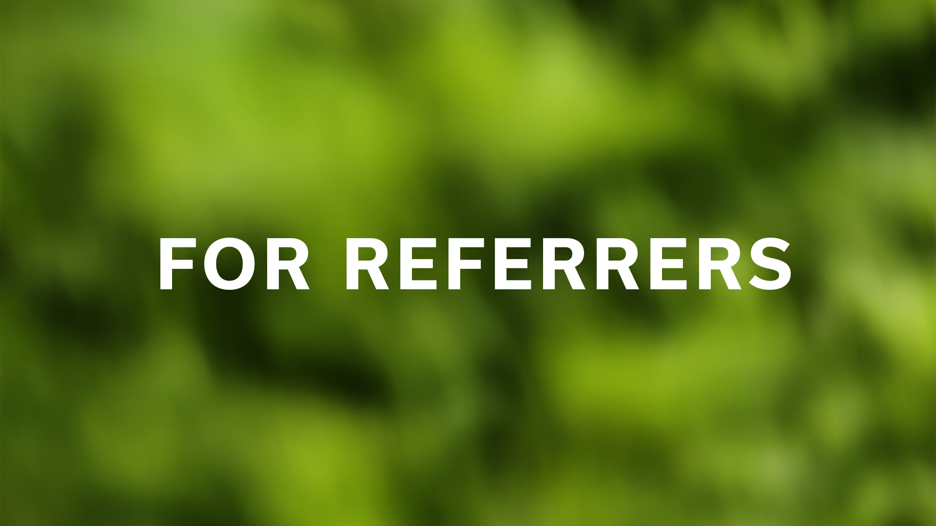 Referrers Ad