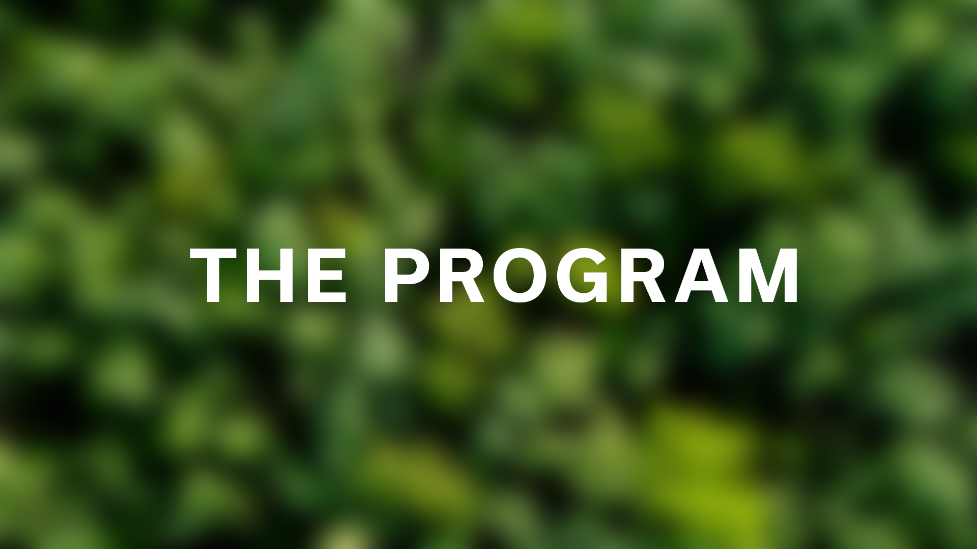 Program Ad