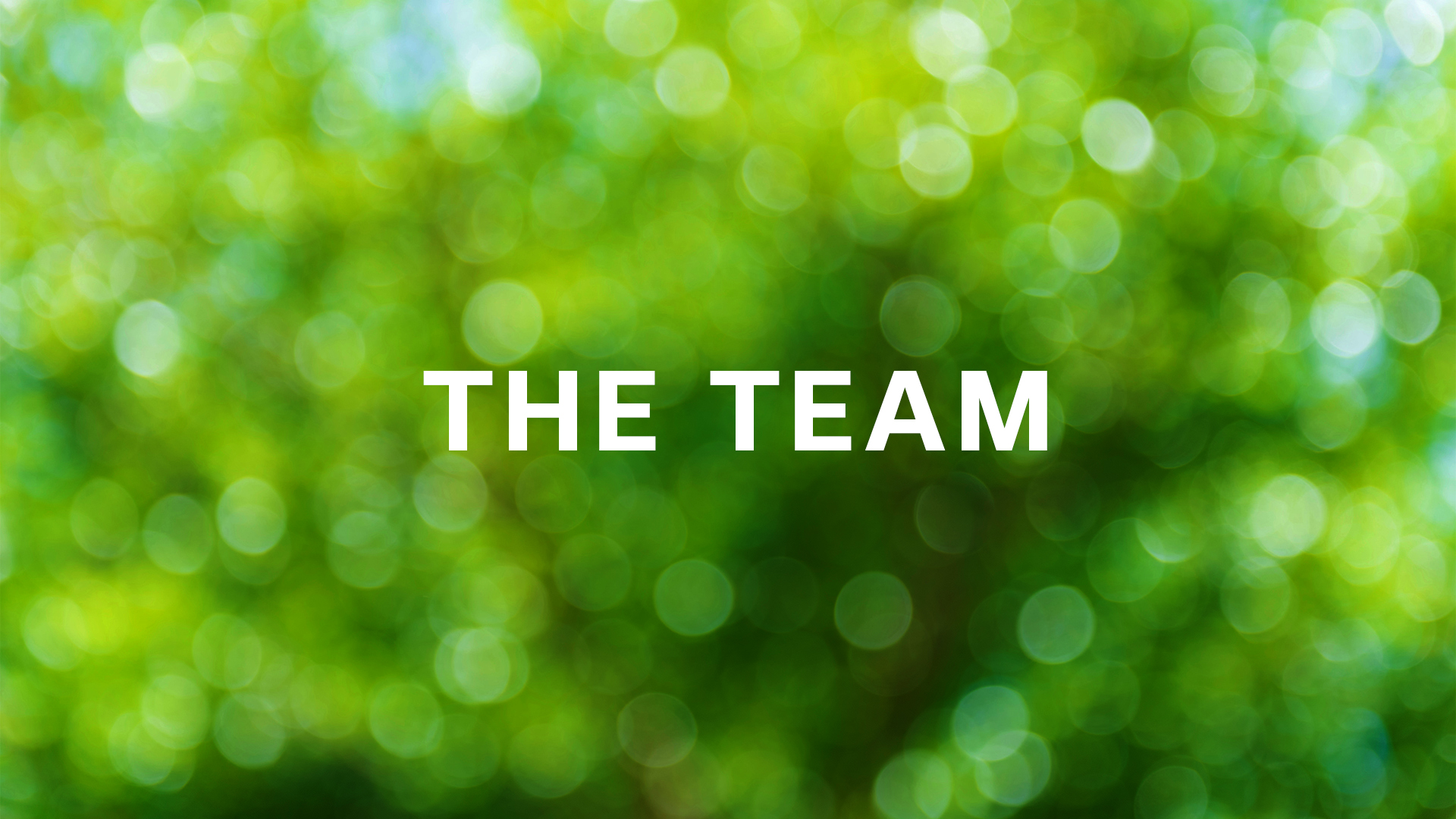 Arcadia Trails Team Ad