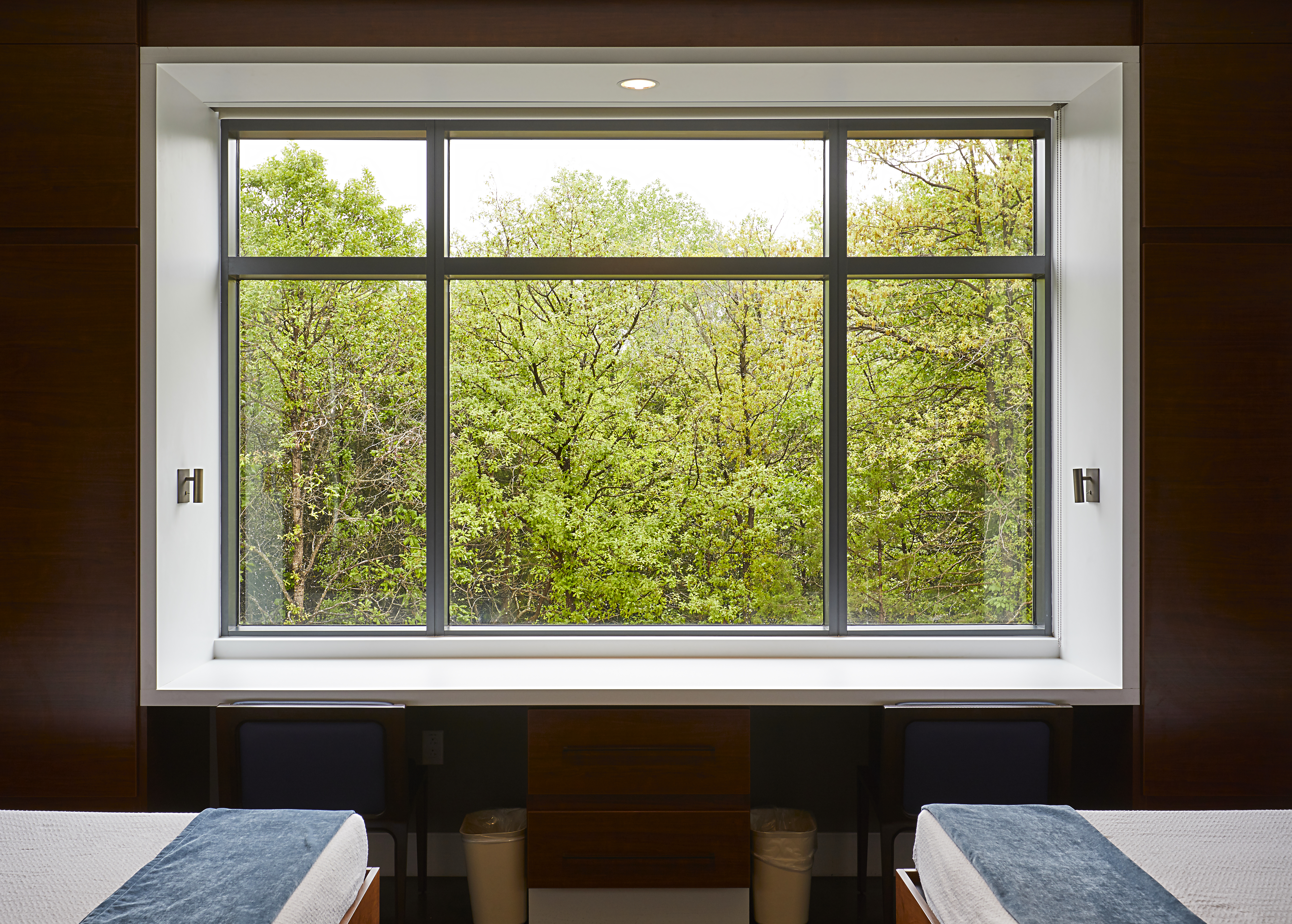 Window looking out to greenery