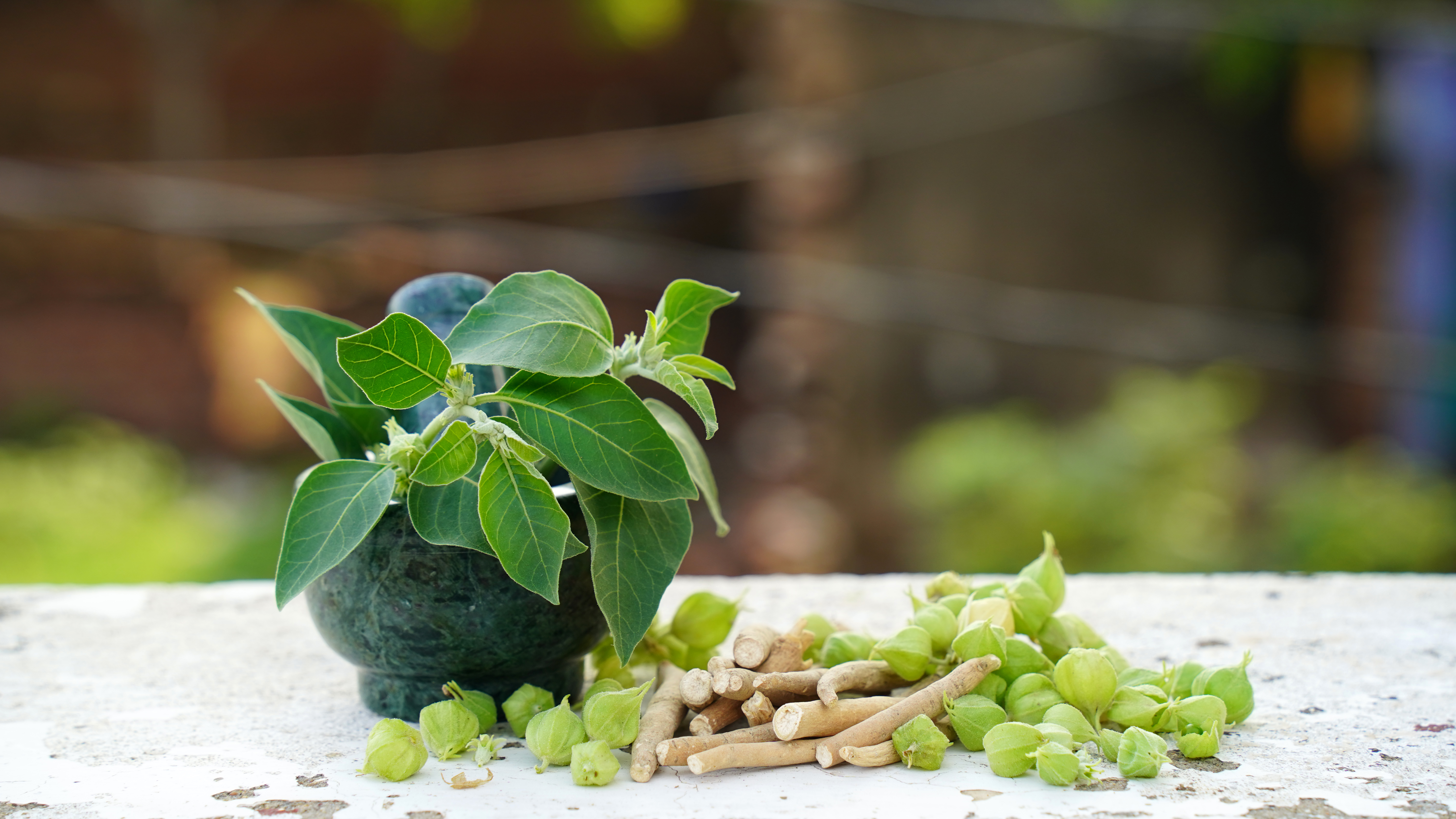 The Role of Ashwagandha in Managing Stress, Anxiety and Overall Well-being