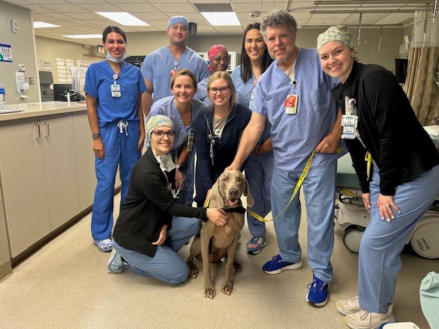 group of caregivers from the Cath Lab department