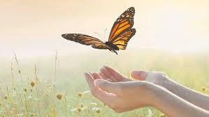 national cancer survivors day garden party, butterfly