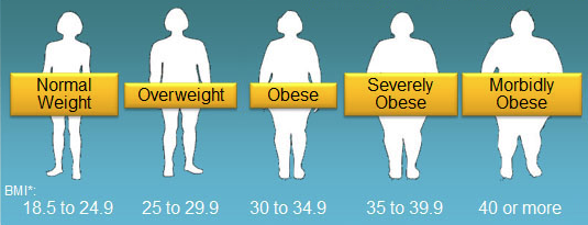 Body Mass Index Calculator