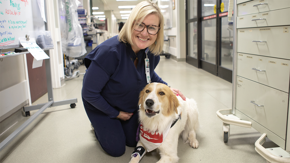 Once a stray with an uncertain future, Emmy found herself in a shelter, waiting for a home. Little did she know, she wasn't just going to be adopted. She was about to find her true purpose.