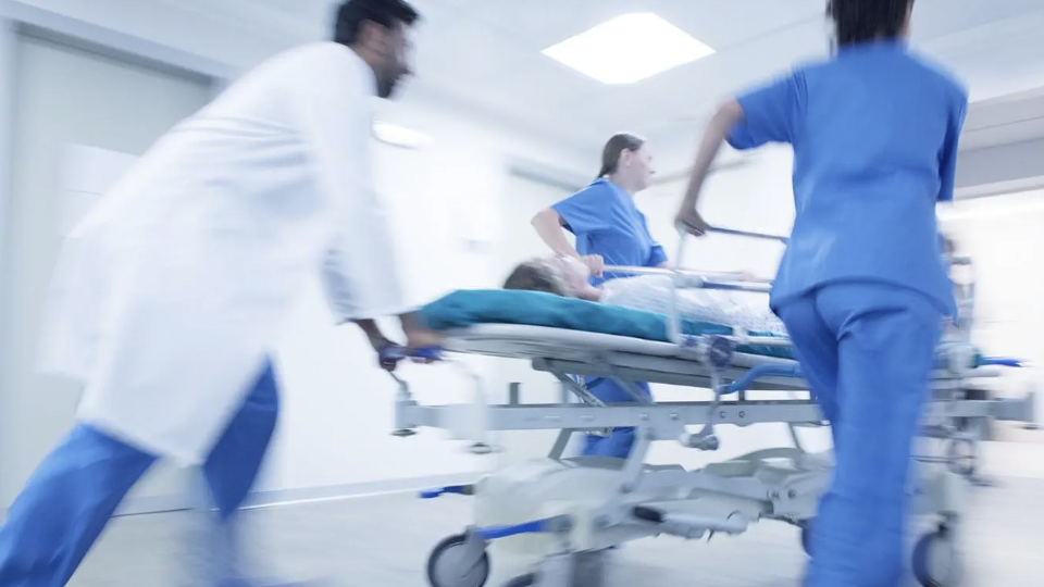 Trauma Education and Resources