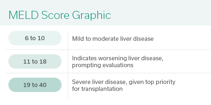 A Model for End-Stage Liver Disease score graphic that measures the range of severity for chronic liver disease
