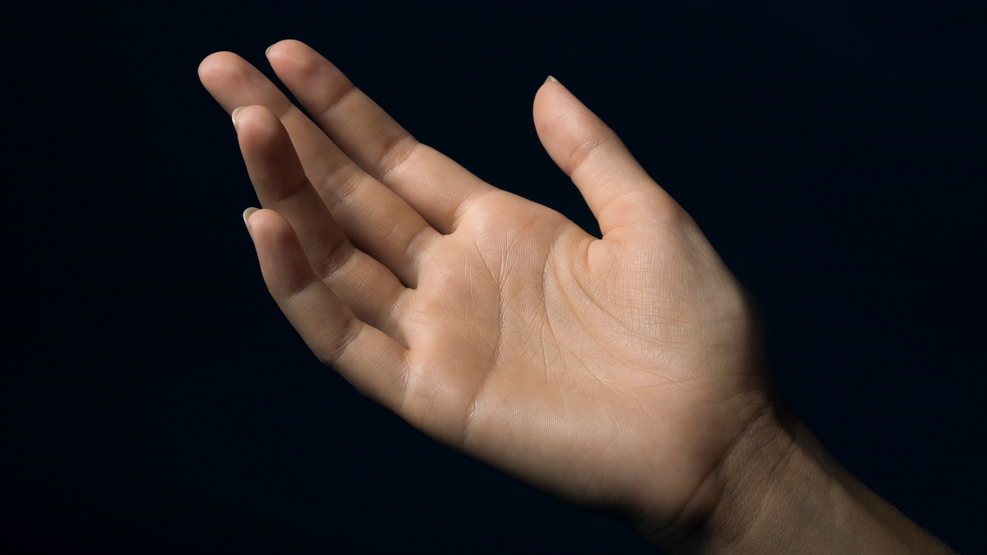 a woman's open palm