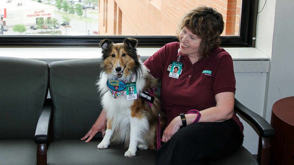 Molly INTEGRIS Therapy Dog