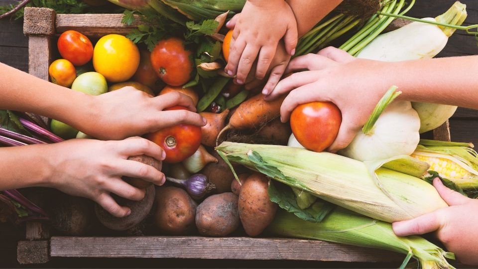 What is a Food Desert and How Does It Affect the Obesity Crisis in Oklahoma?