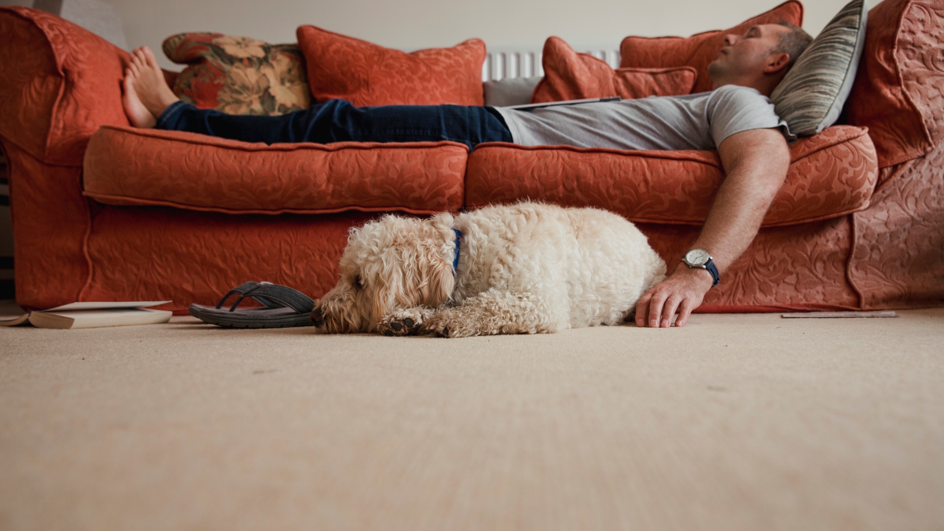 man napping on couch with dog