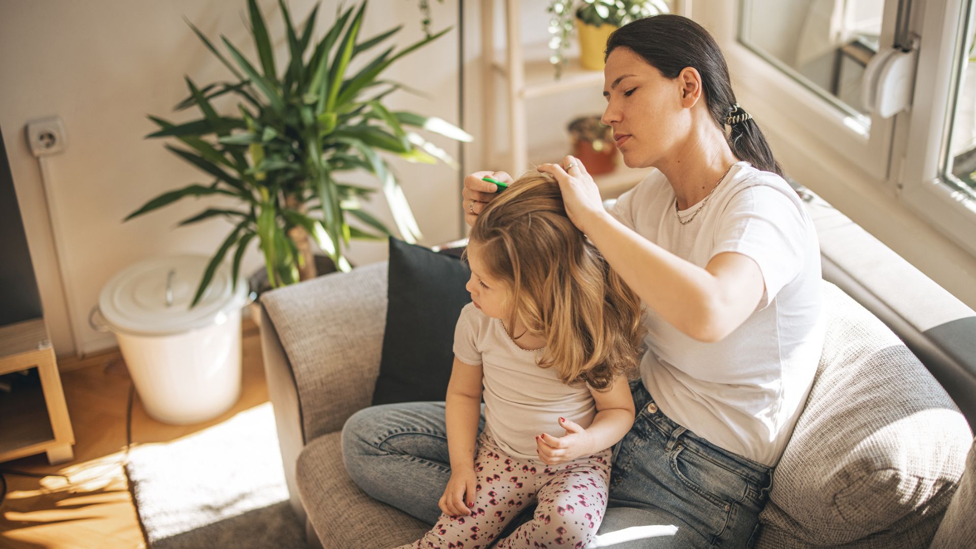 Dandruff and Lice