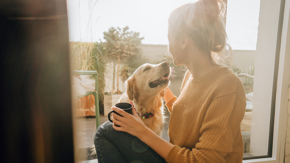 A Guide to Setting Healthy Boundaries