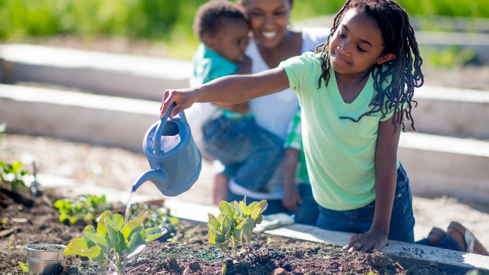 How to Start Your Own Garden