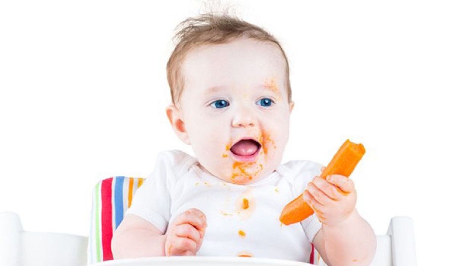 Baby Led Weaning