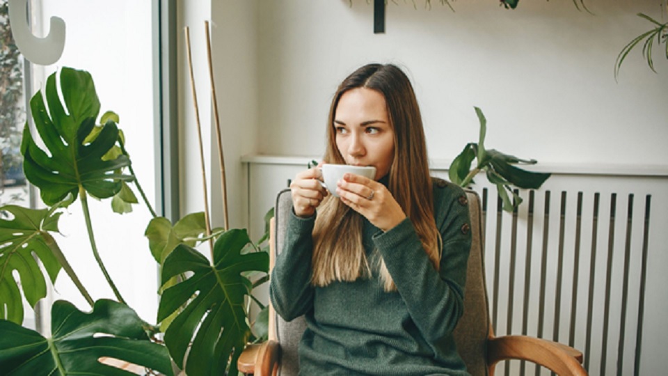 Coffee Alternatives