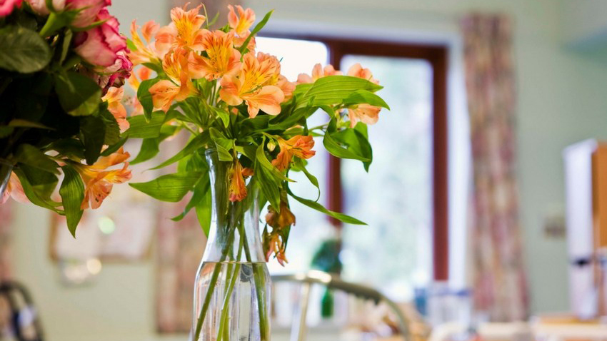 Flowers in hospital room