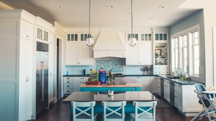 pest proofing home