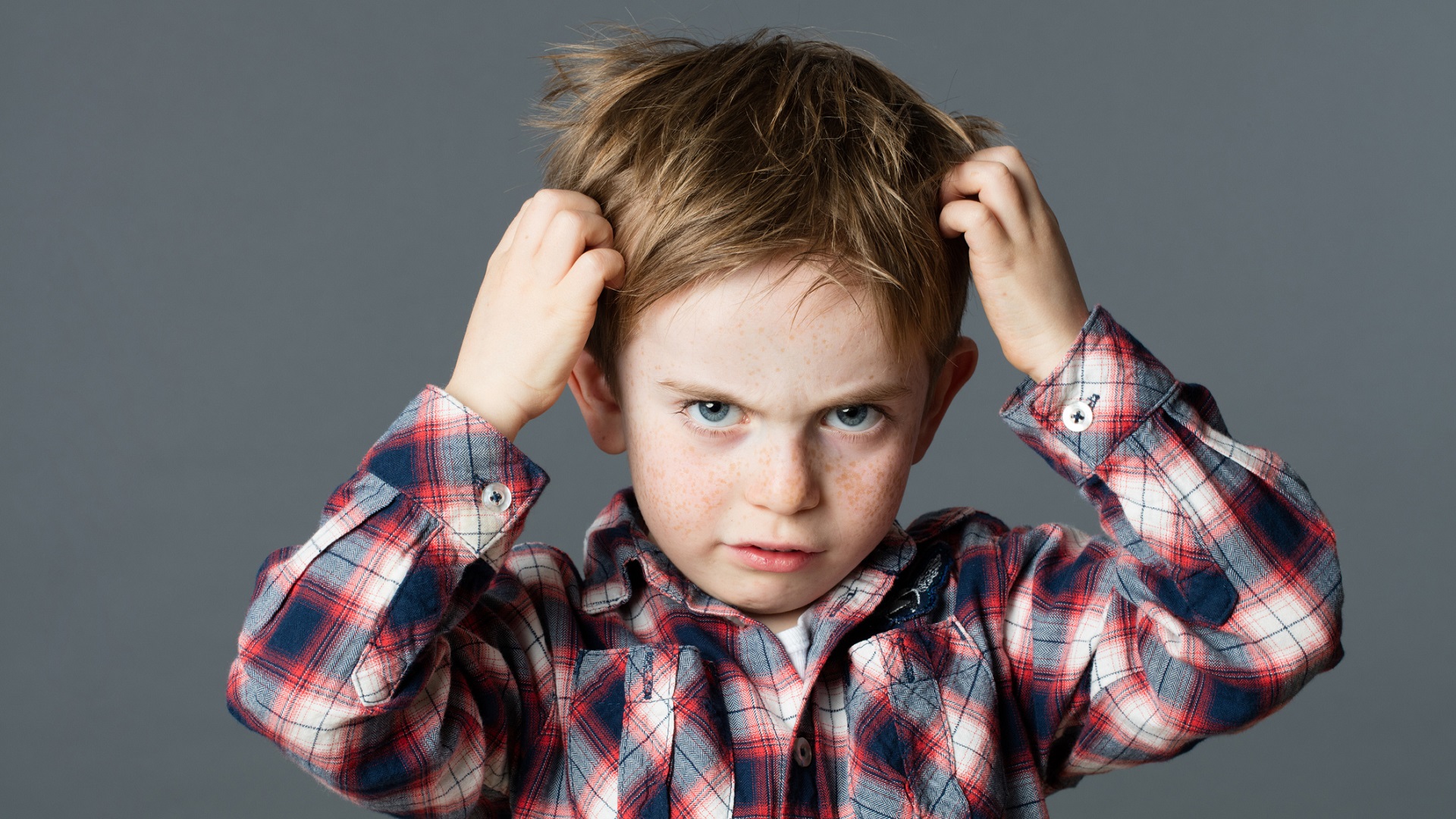 Head Lice Heads Up: How to Spot and Get Rid of Unwanted Visitors