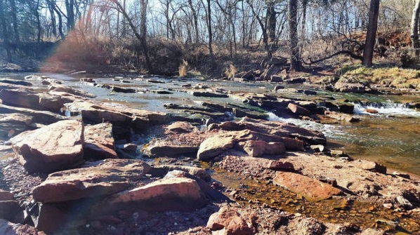 martin park stream feature