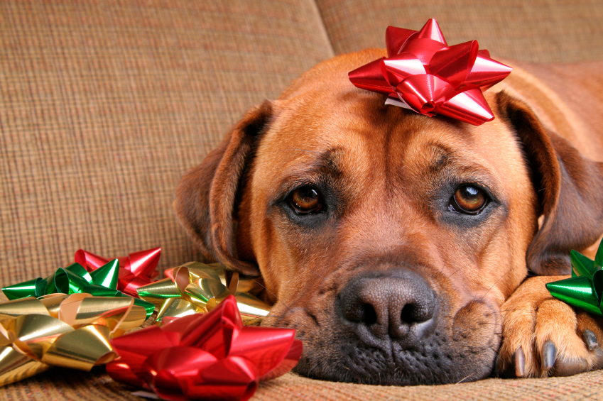 Optimized holiday depression