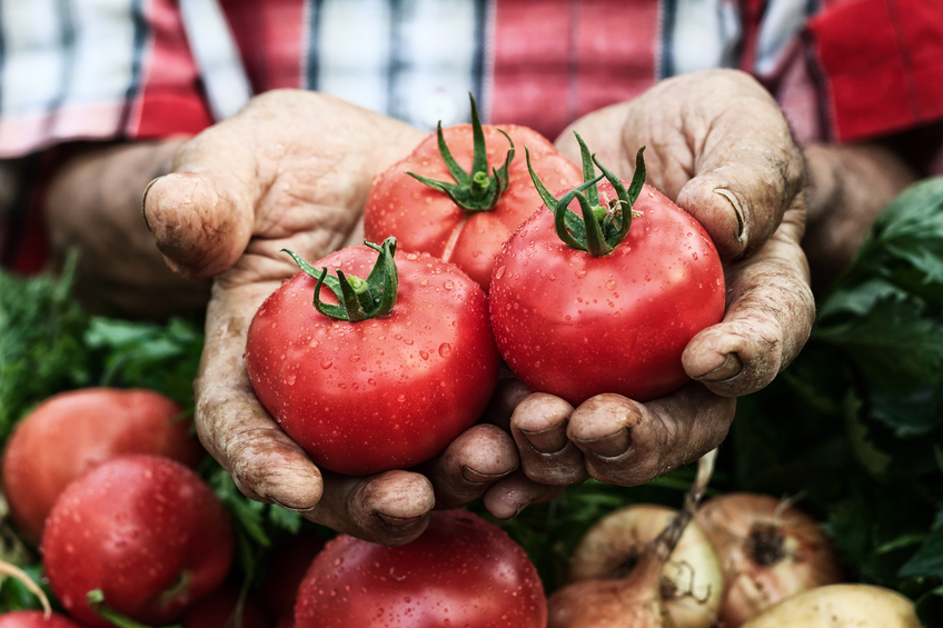 organic fruit and vegetables