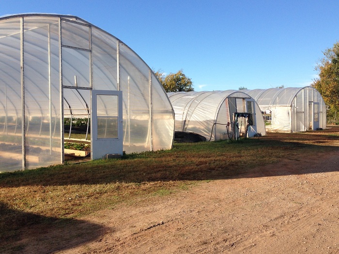 Phocas Farms Edmond Houses