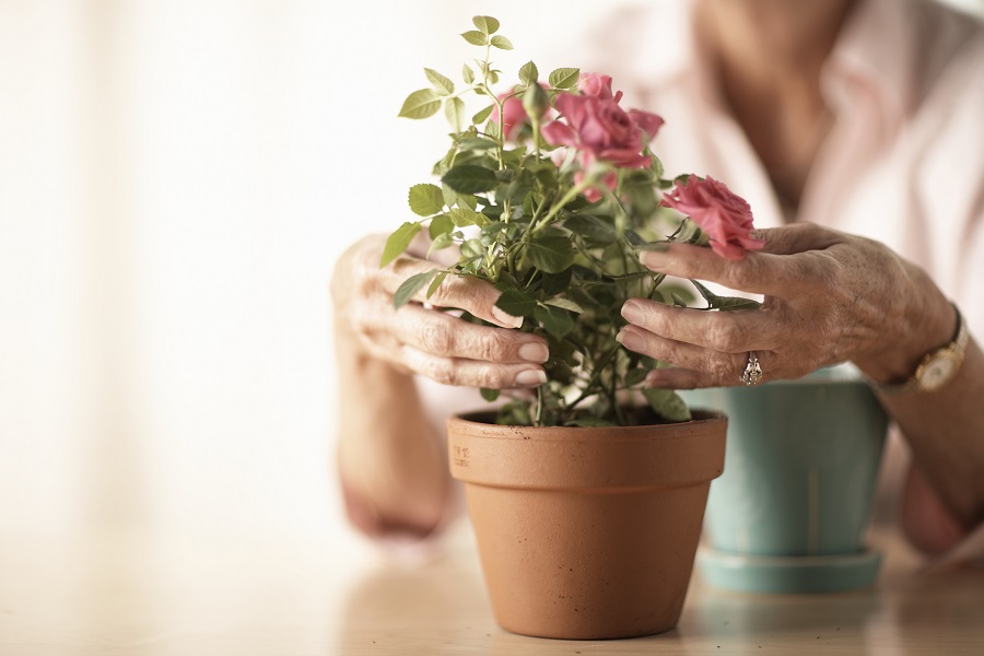 senior woman flowers depression after sixty