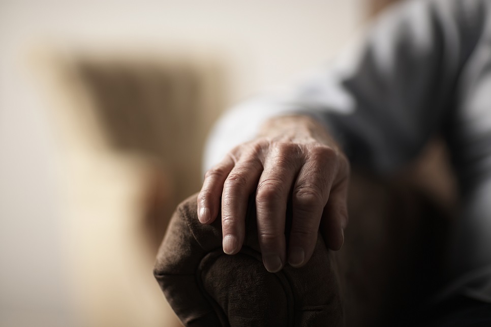 The difference between Alzheimers and dementia