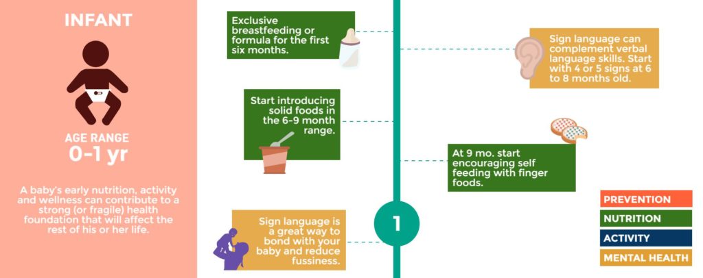 Stages of Life Infographic Infant Sign Language